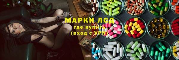 сатива Армянск