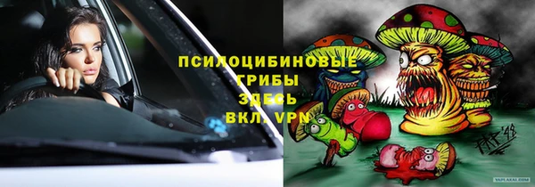 сатива Армянск